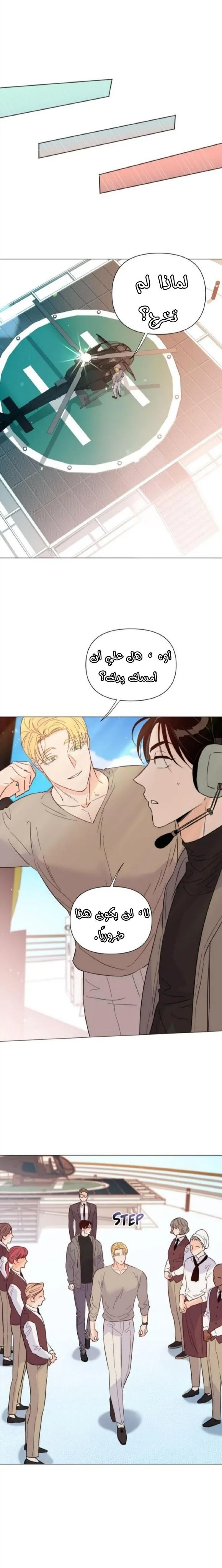 أقتل الأضواء – الفصل 36 page 11